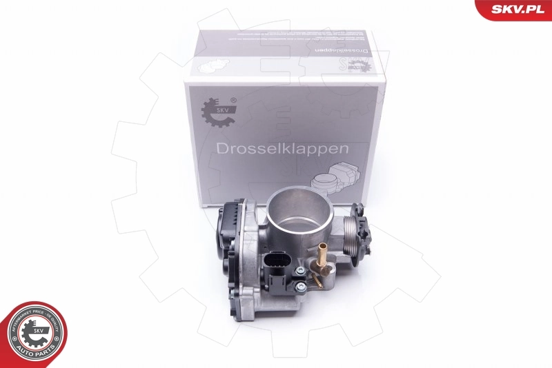 Throttle Body